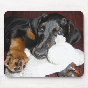 Cute Doberman Pinscher Puppy Mousepad