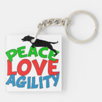 Cute Dog Agility