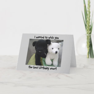 Cute Dog And Bear Birthday Card