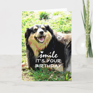 cute dog birthday card humour on photo art