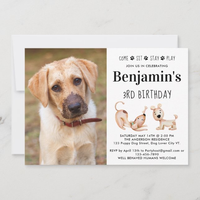 Cute Dog Birthday Party Puppy Custom Pet Photo Invitation (Front)