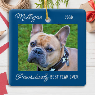 Cute Dog Blue Quarantine Christmas Pet Photo Ceramic Ornament