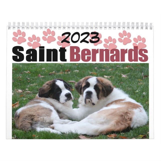 Cute Dog Breed Saint Bernard Puppy Calendar (Cover)