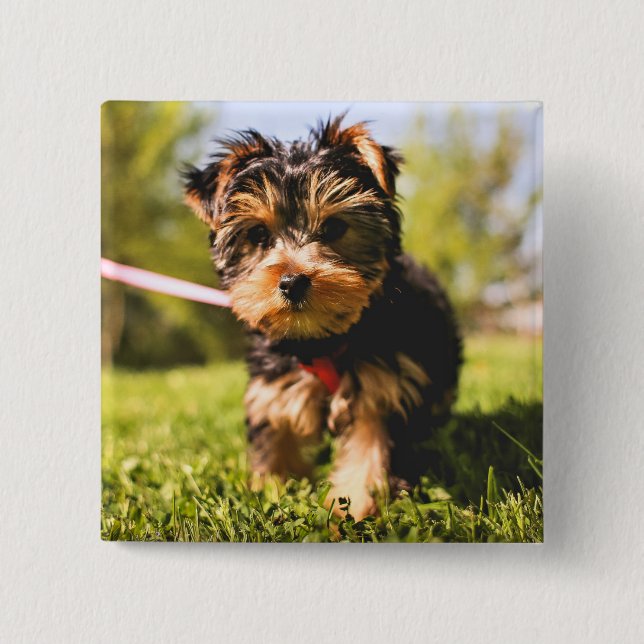 Cute Dog button 5 (Front)