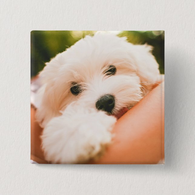 Cute Dog button 9 (Front)