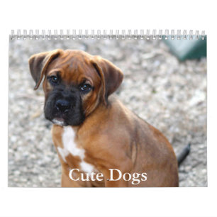 Cute Dog Calendar
