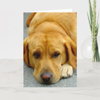 Cute Dog Card