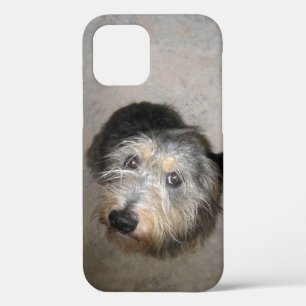 Cute dog Case-Mate iPhone case