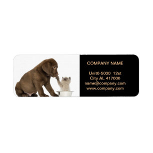 Cute dog cat pet sitter animal sitter pet groomer