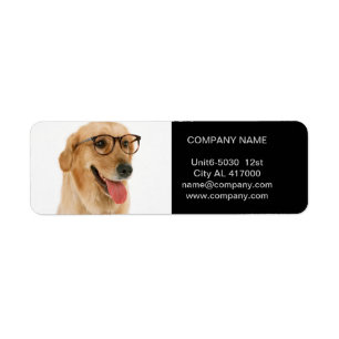 Cute dog cat pet sitter animal sitter pet groomer