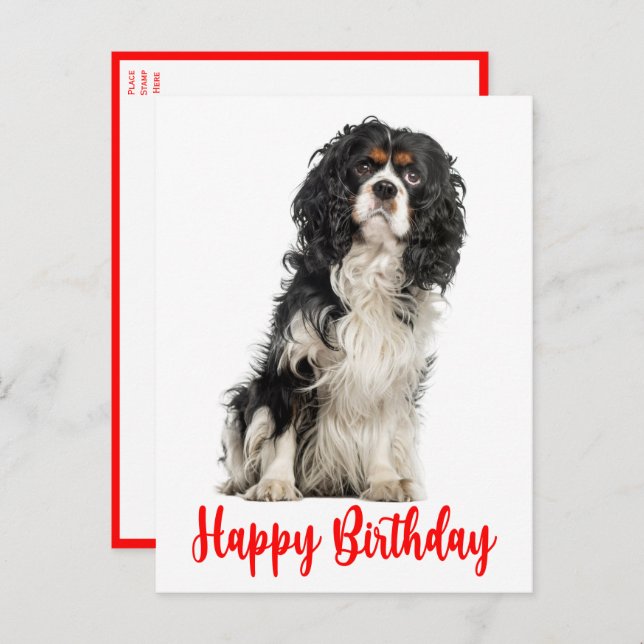 Cute Dog Cavalier King Charles Spaniel Birthday Po Postcard (Front/Back)