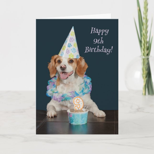 Cute dog celebrating a 9th Birthday! Card (Front)