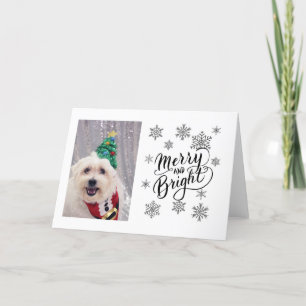 Cute Dog Christmas Card