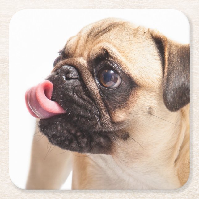 Cute Dog coasters 4 (Front)