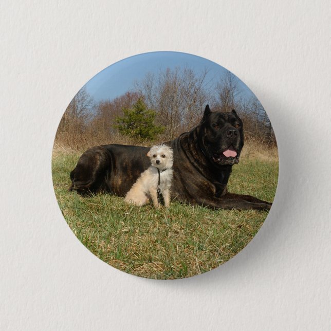 Cute Dog Couple 6 Cm Round Badge (Front)