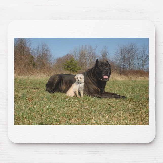 Cute Dog Couple Mouse Pad (Front)