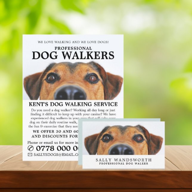 Cute Dog,  Dog Walker Service Advertising Flyer (Creator Uploaded)