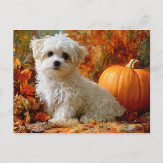 Cute Dog Fall Autumn Pumpkin Fall Leaves Design Postcard