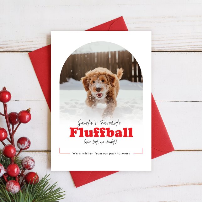 Cute Dog Funny Naughty Pet Arch Photo Christmas Holiday Card (Creator Uploaded)