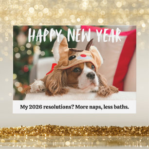 Cute Dog Funny Pet Happy New Year Photo Holiday Card