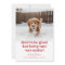  Cute Dog Funny Pet Photo Christmas