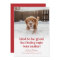  Cute Dog Funny Pet Photo Christmas