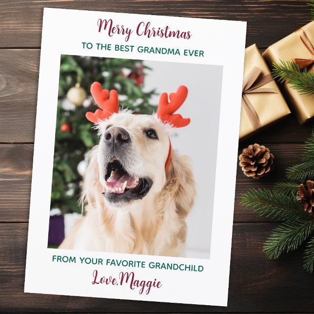 Cute Dog Grandma Personalised Christmas Pet Photo Holiday Card (Creator Uploaded)
