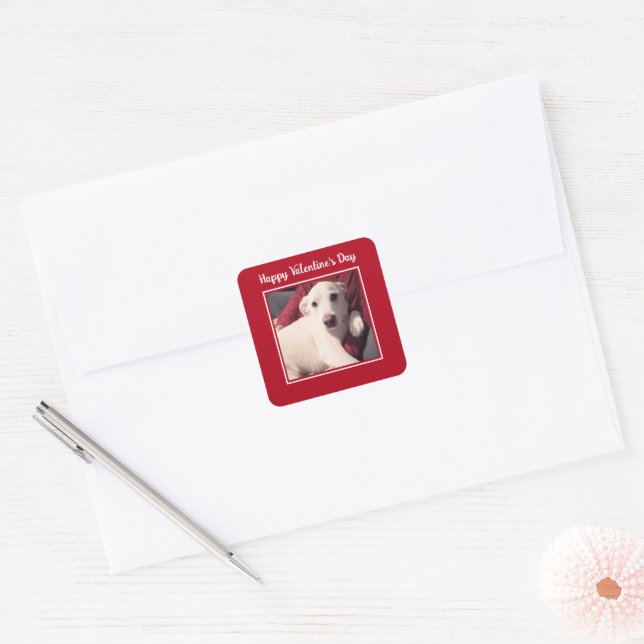 Cute Dog Happy Valentines Day Square Sticker (Envelope)