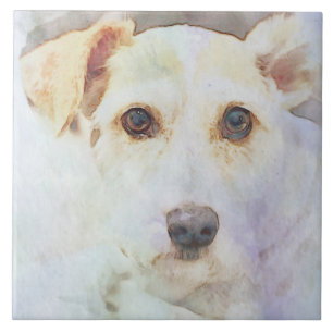 Cute Dog Head Face Eyes Sketch Tile