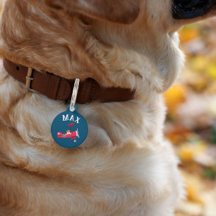 Cute Dog in Aeroplane Custom Name Collar Pet Tag