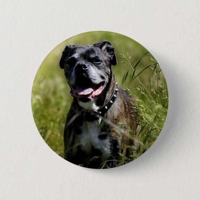 Cute dog in grass 6 cm round badge (Front)