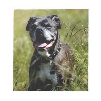Cute dog in grass notepad