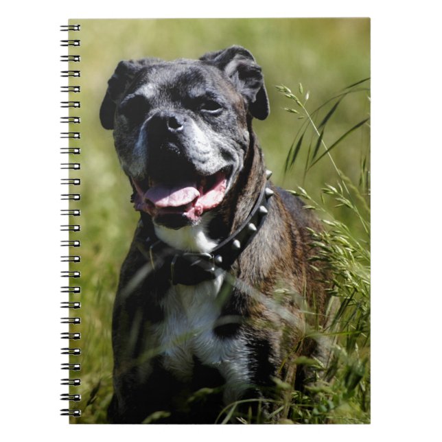 Cute dog in grass spiral notebook (Front)