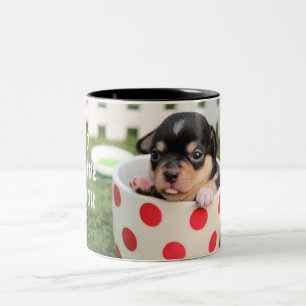 Cute Dog in mug