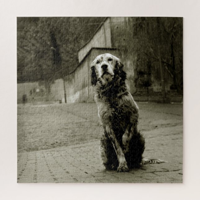 Cute Dog Jigsaw Puzzle (Vertical)