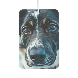Cute Dog Looking Around Car Air Freshener