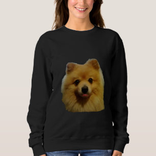 Cute Dog Love A Pomeranian Sweatshirt