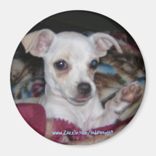 Cute Dog-Magnet. Magnet