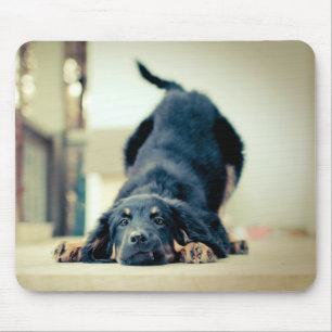 Cute dog mouse pad