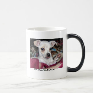 Cute Dog-Mug. Magic Mug