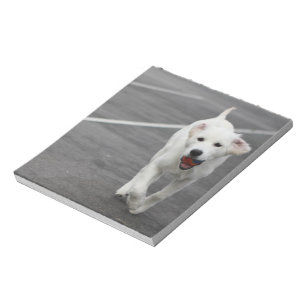 Cute dog on a notepad