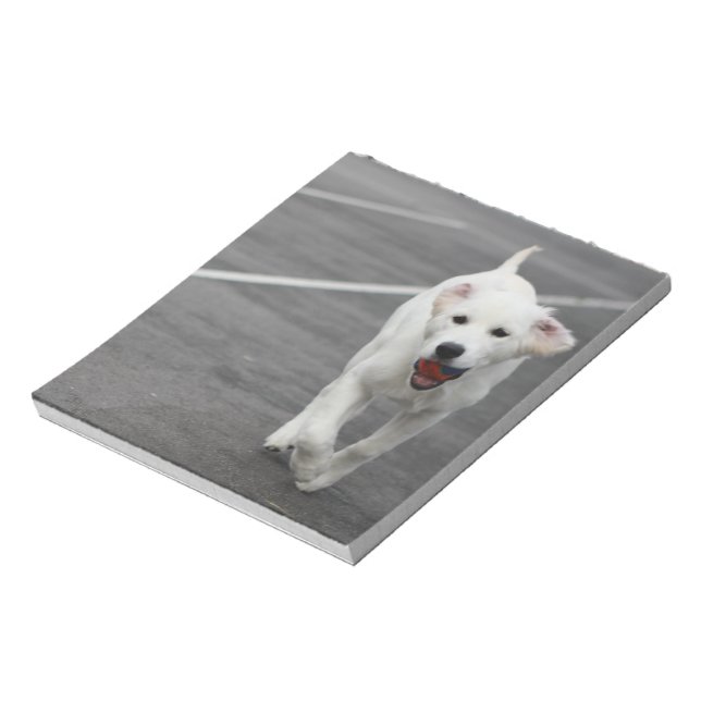 Cute dog on a notepad (Rotated)