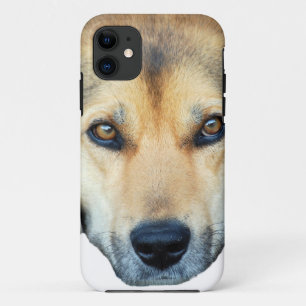 Cute dog on any colour background Case-Mate iPhone case