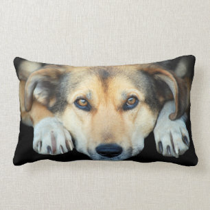 Cute dog on any colour background lumbar cushion