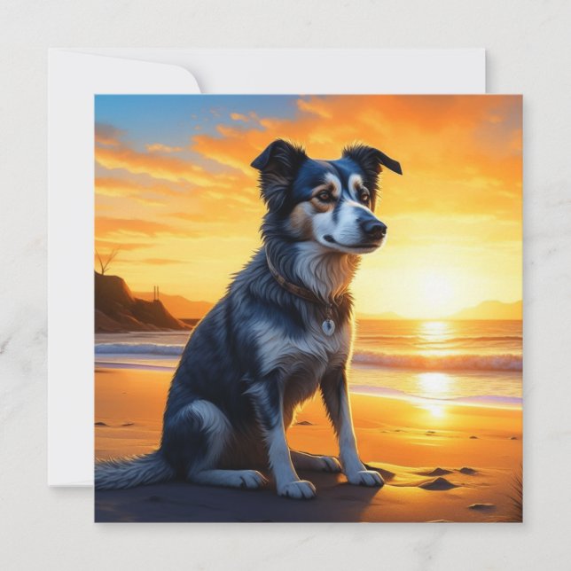 Cute Dog on Beach at Sunset  (Front)