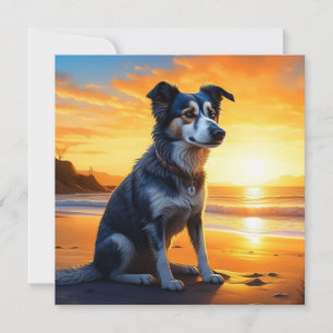 Cute Dog on Beach at Sunset 