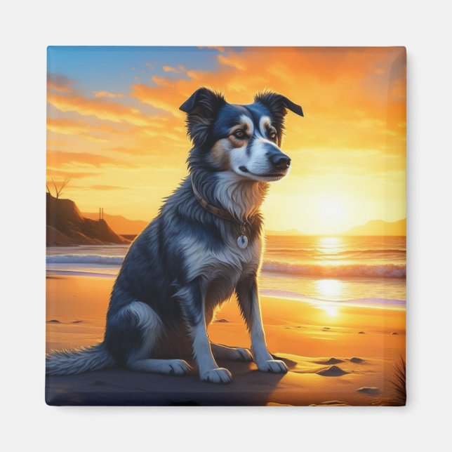 Cute Dog on Beach at Sunset  Magnet (Front)