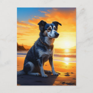 Cute Dog on Beach at Sunset   Saying Hello Postcard