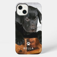 Cute Dog or Cat Photo with Paw Print and Name