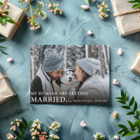 Cute 'Dog Owners' Photo Engagement Wedding